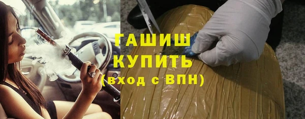 индика Коряжма
