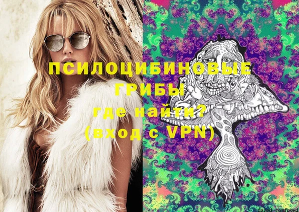 индика Коряжма