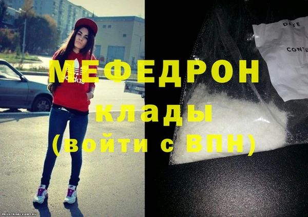 индика Коряжма