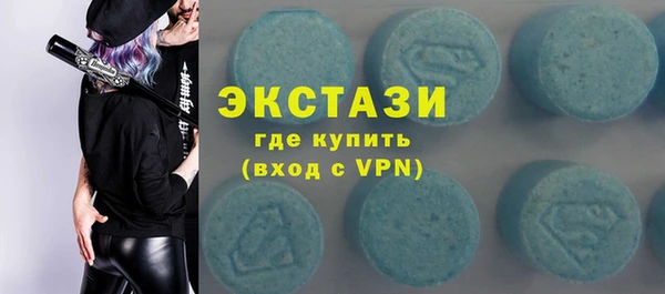 индика Коряжма