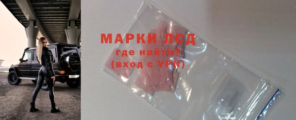 индика Коряжма