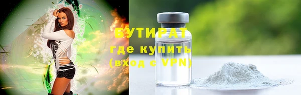 индика Коряжма