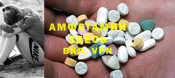 индика Коряжма