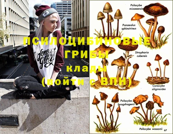 индика Коряжма
