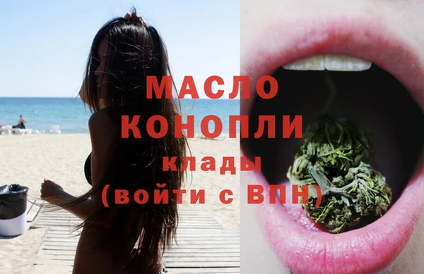 индика Коряжма
