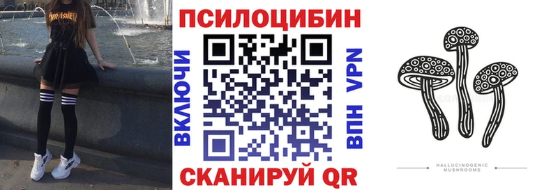 Псилоцибиновые грибы прущие грибы  Купить где  Медынь 